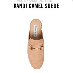 NEW with box Steve Madden mules.